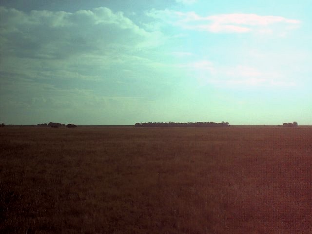 West View