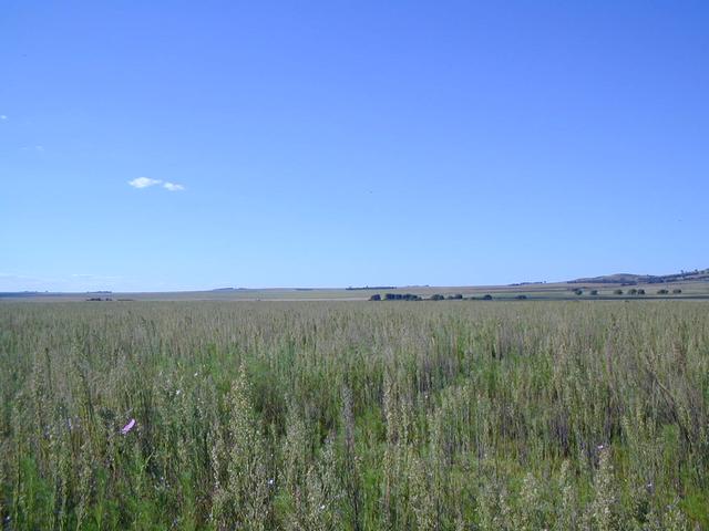 Northwards