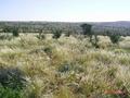#2: South View