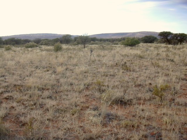 General area of the confluence site