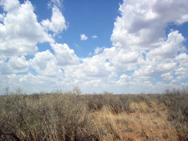 View to the East from the Confluence