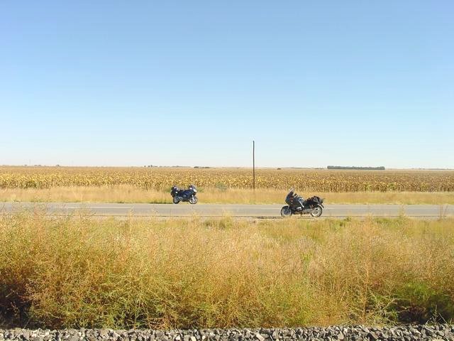 Looking into field at Confluence 150 metres in this direction