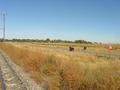 #4: Near Whites. Farmhouse in the background.