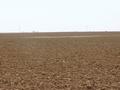 #5: View west