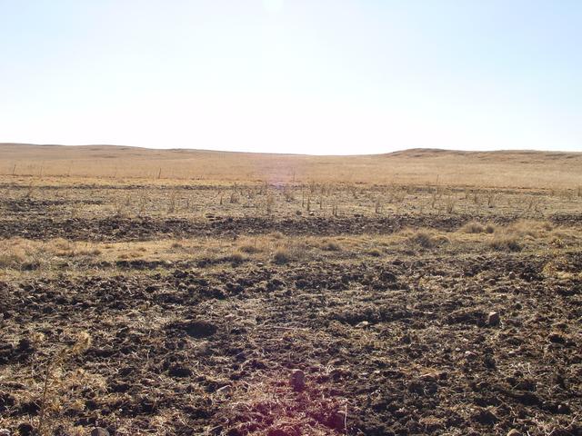 North view