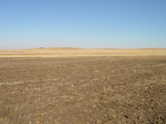 South view