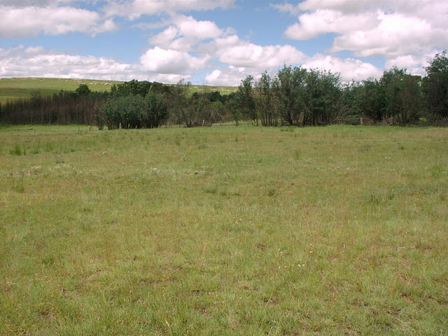 View east from Confluence