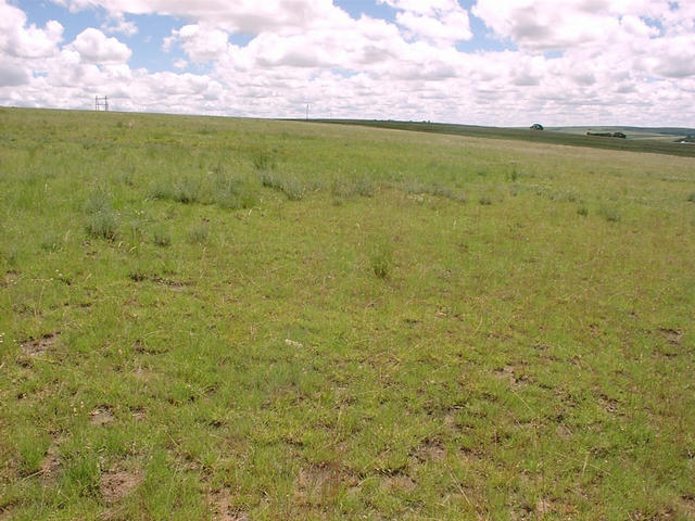 View west from Confluence
