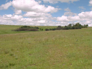 #1: General view of Confluence area