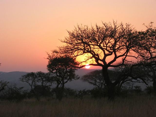 Sunset in the Game Park - end of a rewarding day!