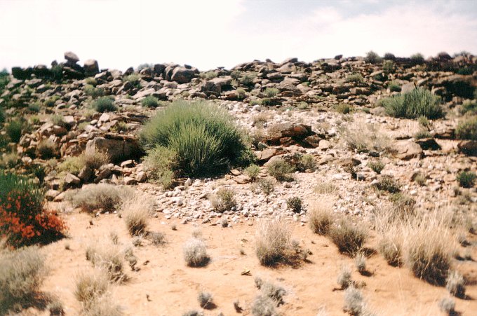 Confluence point, looking northwards