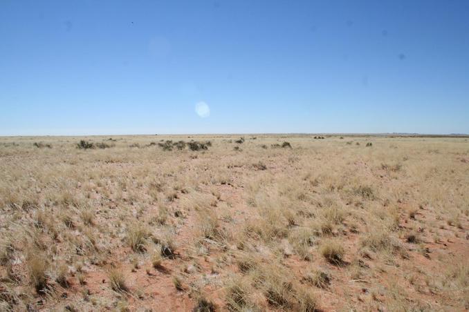 View south of Confluence