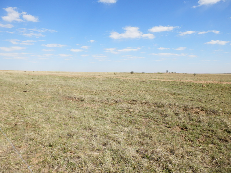 The Confluence from 20 m distance