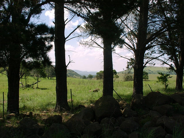 View towards Confluence from the South.  The Confluence lies somewhere on the hills on the horizon.