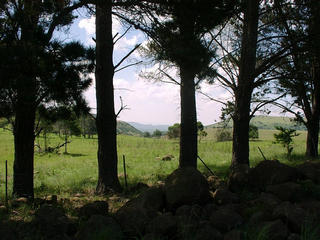 #1: View towards Confluence from the South.  The Confluence lies somewhere on the hills on the horizon.