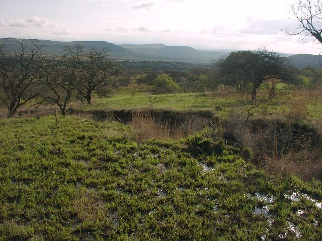 General view of confluence area