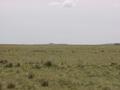 #2: View north