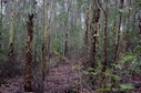 #3: At the confluence facing North