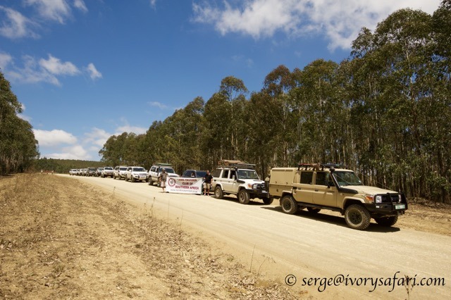 Land Cruisers parked along the road