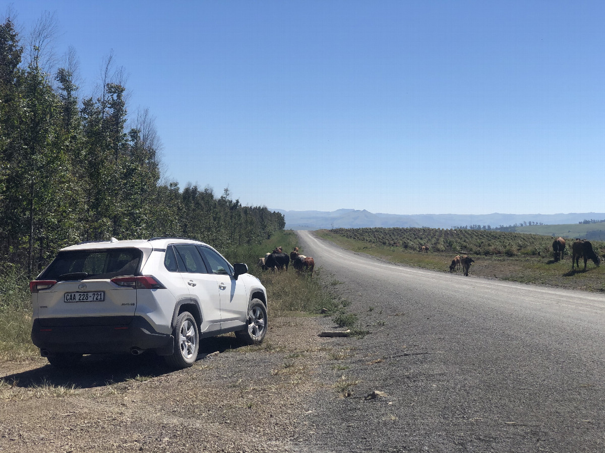 Parking in 150 m Distance