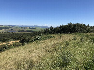 #11: General View to the Confluence from 200 m Distance