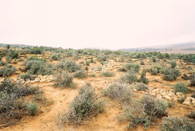 Stake with stone markers close to Confluence