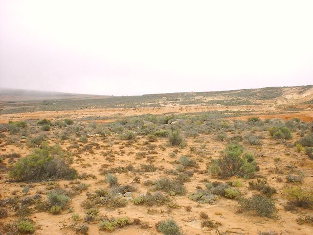 Looking west towards the Confluence