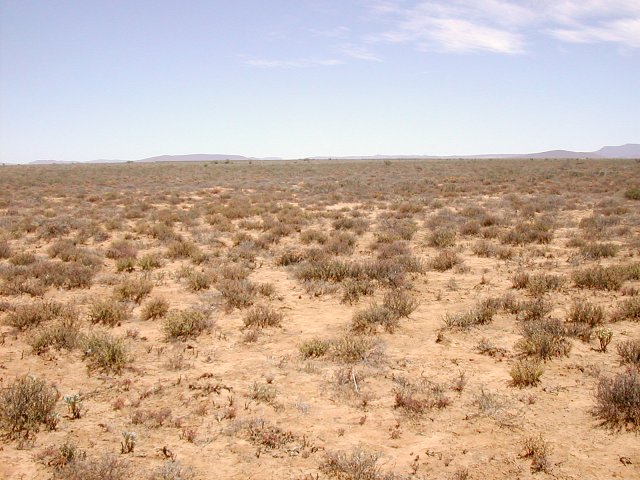 General view of confluence area