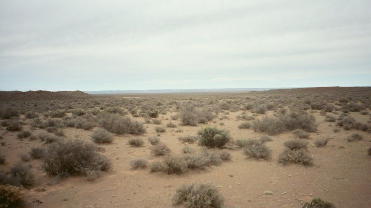 Looking north from the site