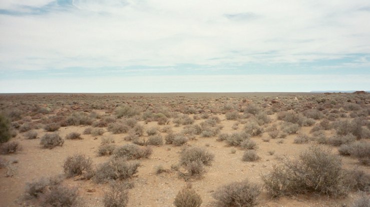 Looking south from site
