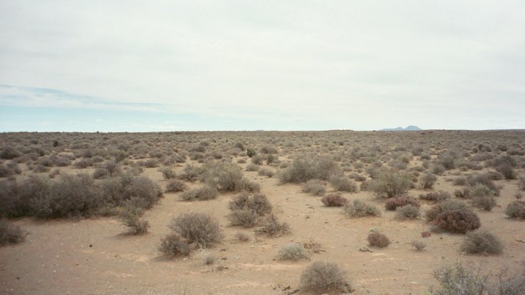 Looking west from site