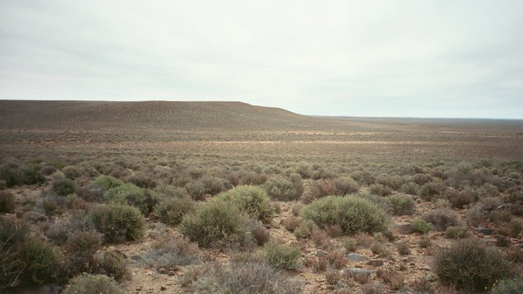 Landscape en route to site