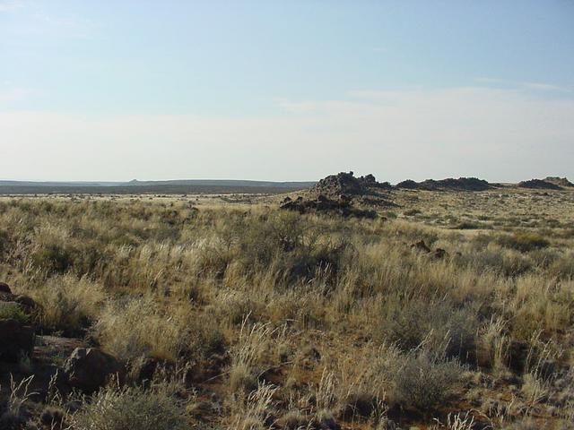 View east from Confluence