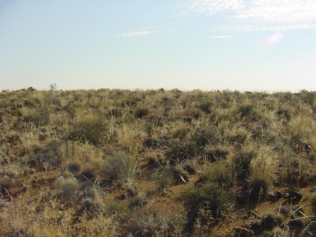 View north from Confluence