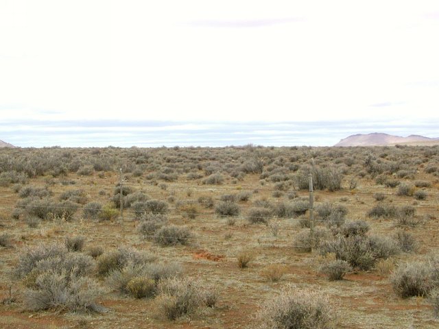South view