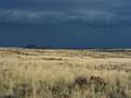 #2: View to the South showing thunder clouds following us