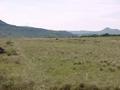 #3: View east