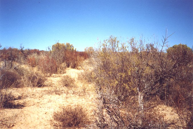 Looking south from the Confluence