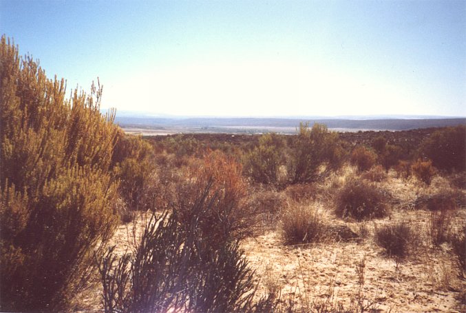 Looking north from the Confluence