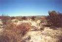 #3: Looking west from the Confluence