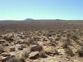 #11: Northwards from top of the ridge adjacent to the Confluence