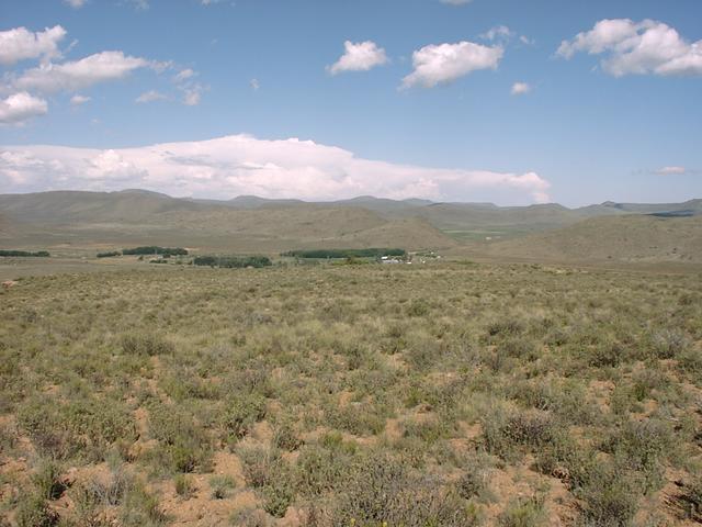 View east