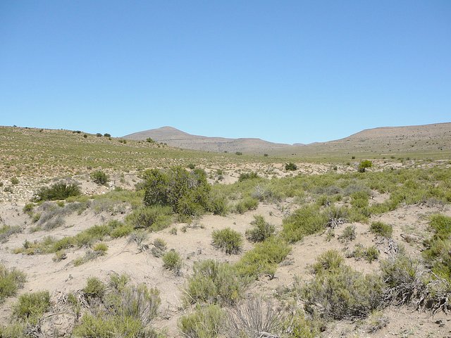 East