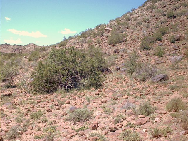 View looking South
