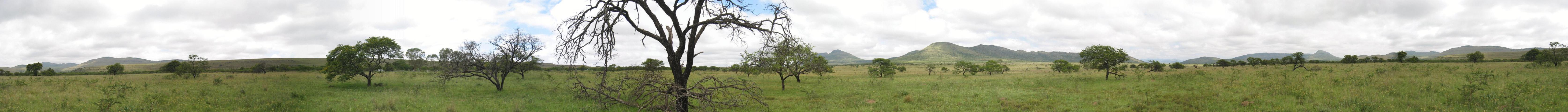 Panoramic view