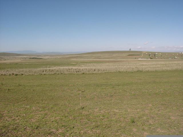 View east