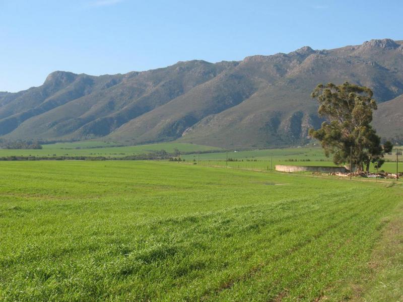 General view