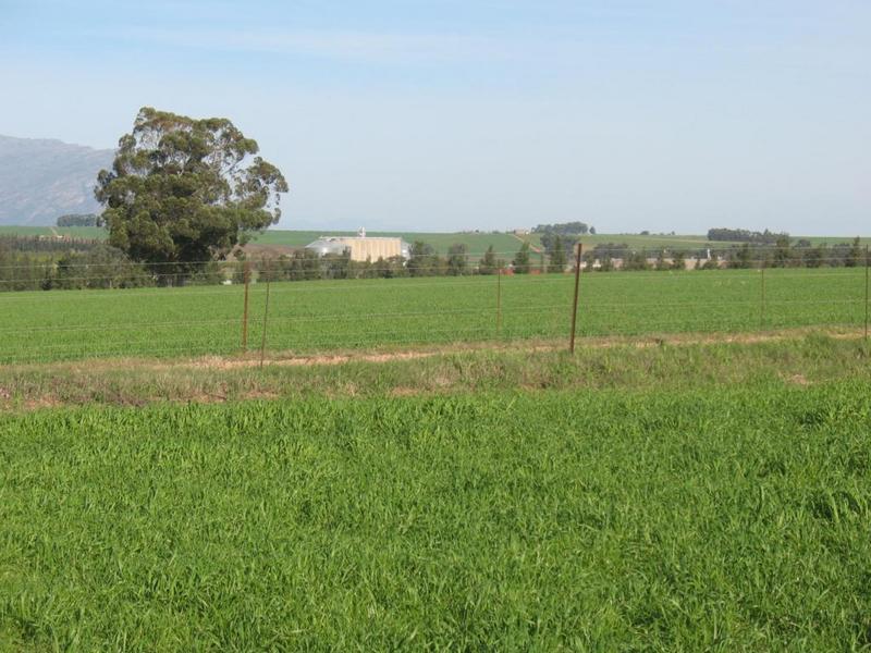 South