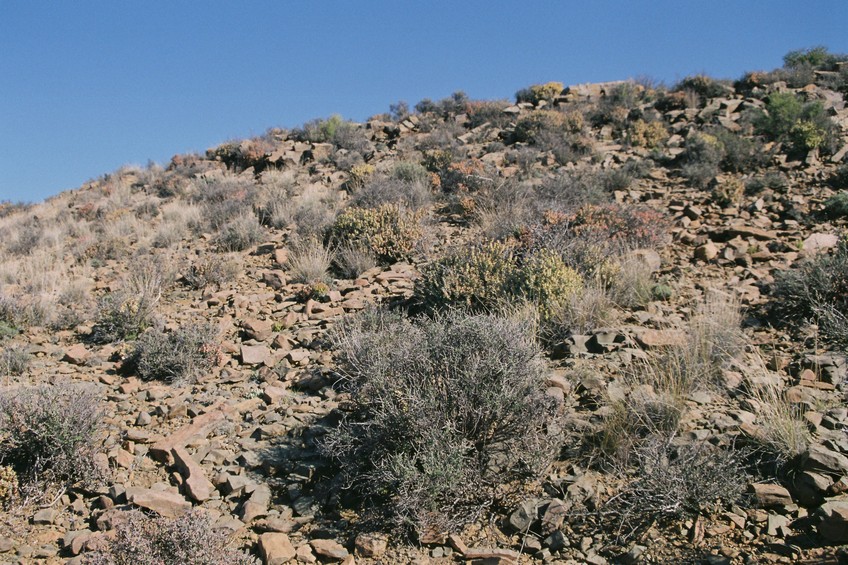 View south from Confluence