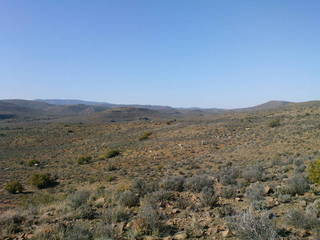 #1: Northeast from hill facing the Confluence